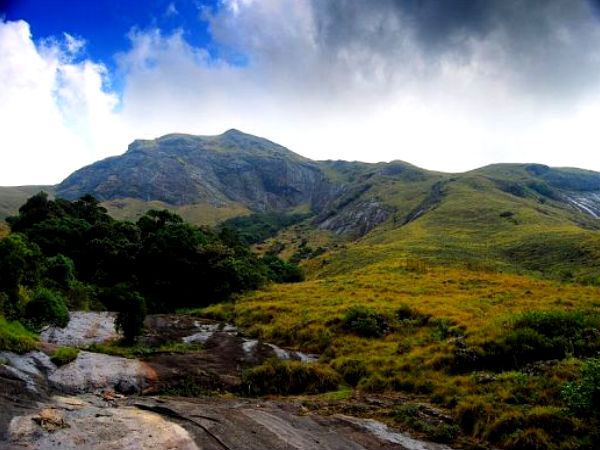 Eravikulam National Park