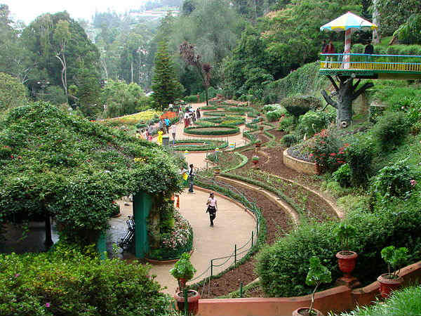 Ooty Botanical Gardens
