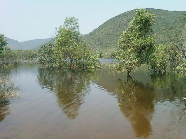 Kambalakonda Wildlife Sanctuary
