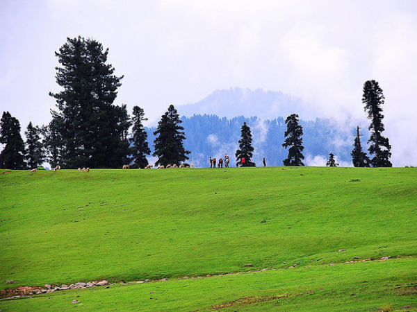 Gulmarg Biosphere
