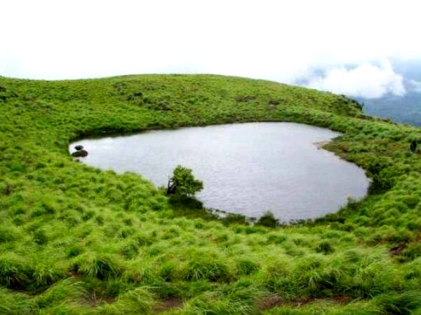 Why Wayanad?