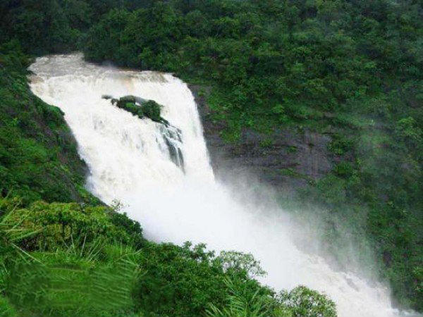 Pushpagiri Wildlife Sanctuary