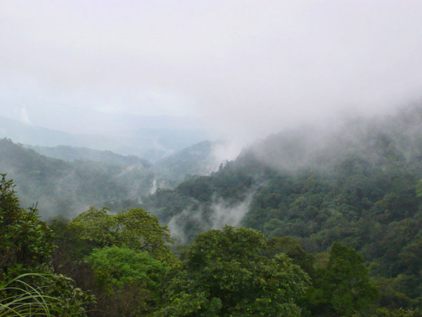 Brahmagiri Wildlife Sanctuary