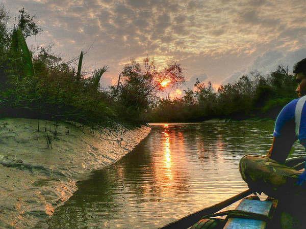 Sunderbans in Pictures