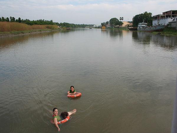 Sunderbans in Pictures