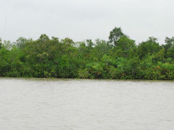 Sunderbans in Pictures