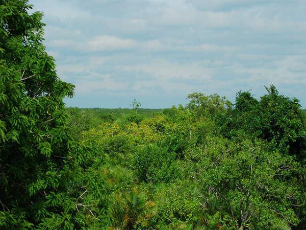 Sunderbans in Pictures