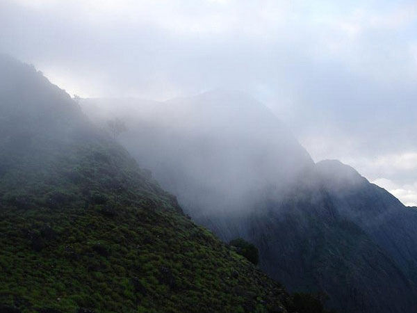 Pushpagiri – Trekking Destination