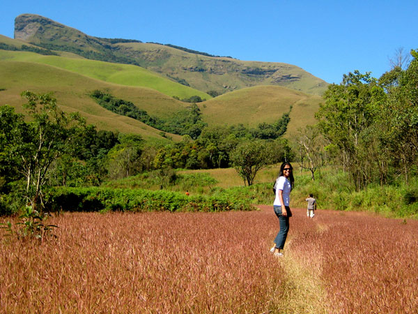 Kudremukh – Rolling Hills in Green