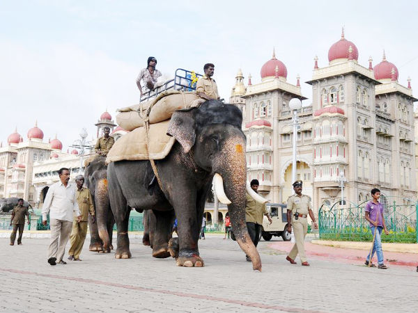 Reaching The Mysore palace