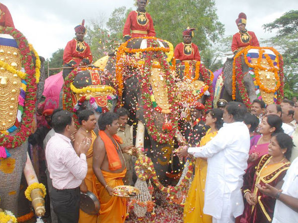 Officials Meeting the Elephants