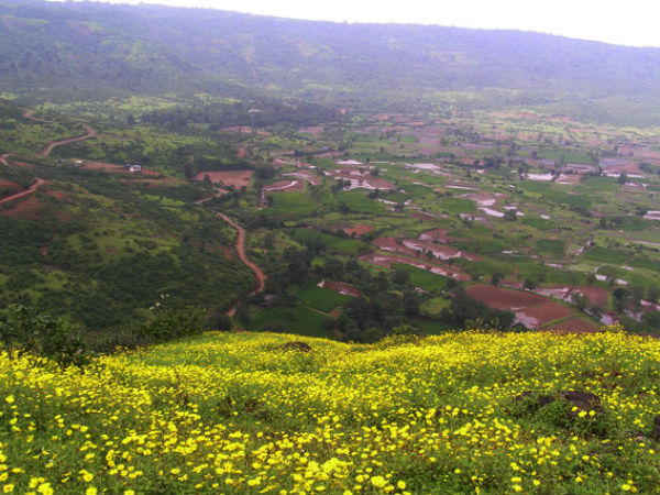 Valley of Flowers