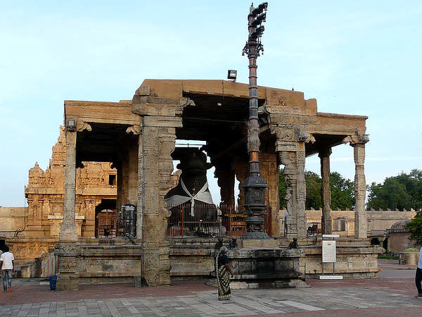 Nandi Bull