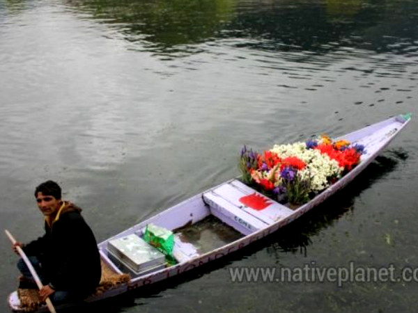 Dal Lake, Srinagar – Sudesh Nayak