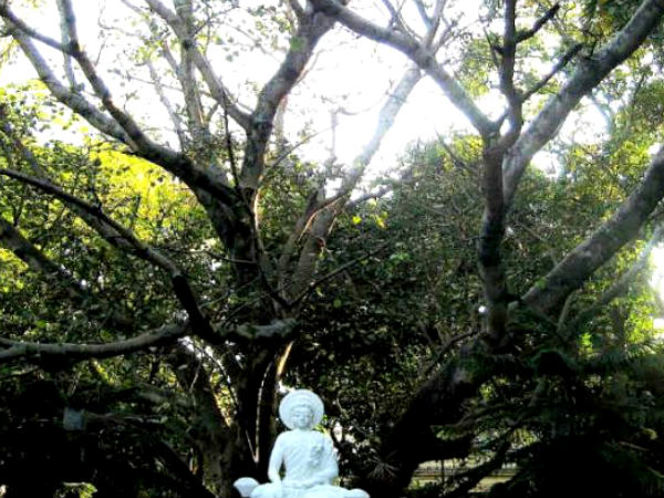 Maha Bodhi Society, Bangalore – Shruthi SU