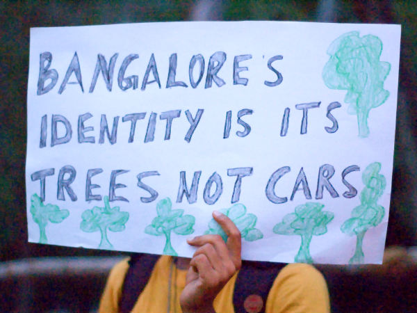 DYK Tree Huggers Make Better Lovers?