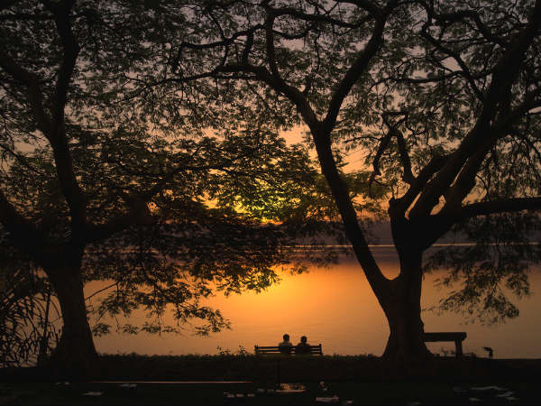 Mesmerising Evenings