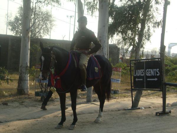 Different Paths for Men and Women