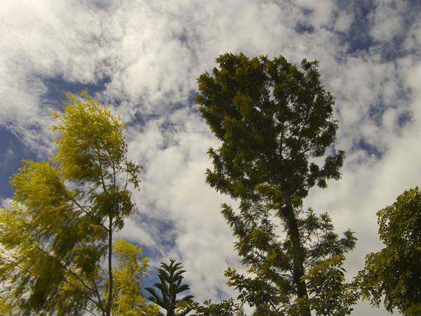 Yercaud, the Jewel of South