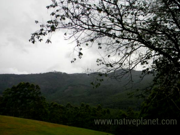 Echo Point, Munnar