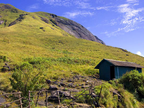 For the honeymoon couple