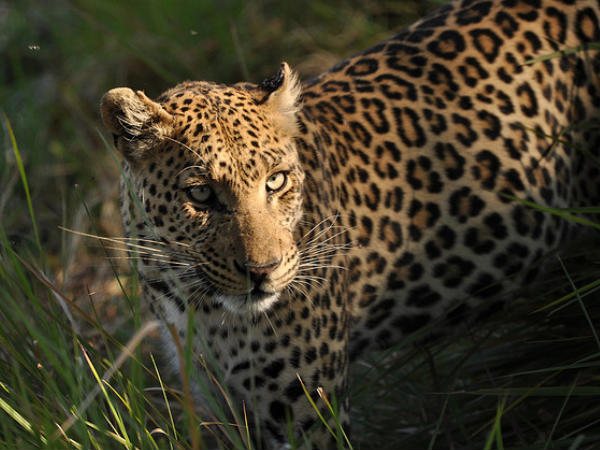 Binsar Wildlife Sanctuary