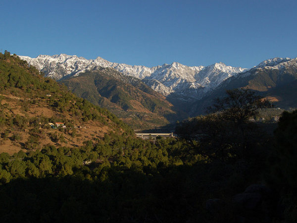 Palampur