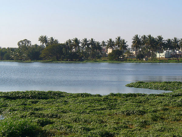 Varthur Lake