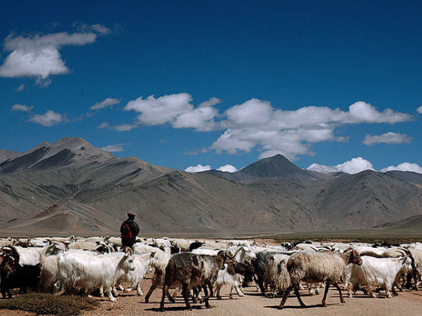 Ladakh