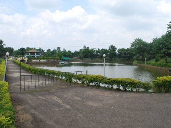 A walk amidst nature