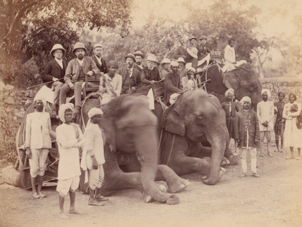 Elephant Ride