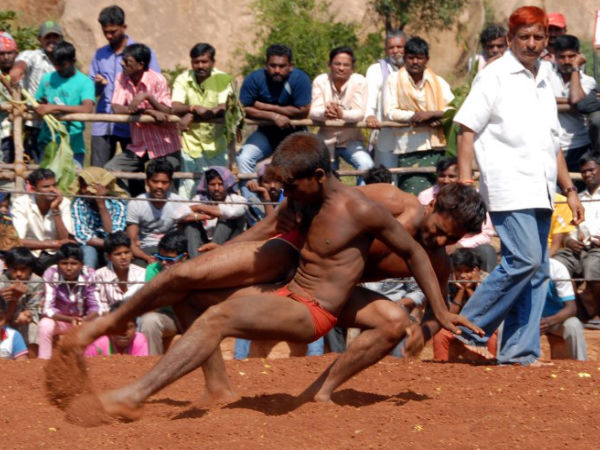 Kushti (Traditional Wrestling)