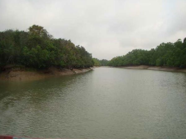Bhitarkanika National Park