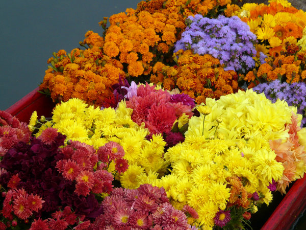 Stunning shots of J&K!