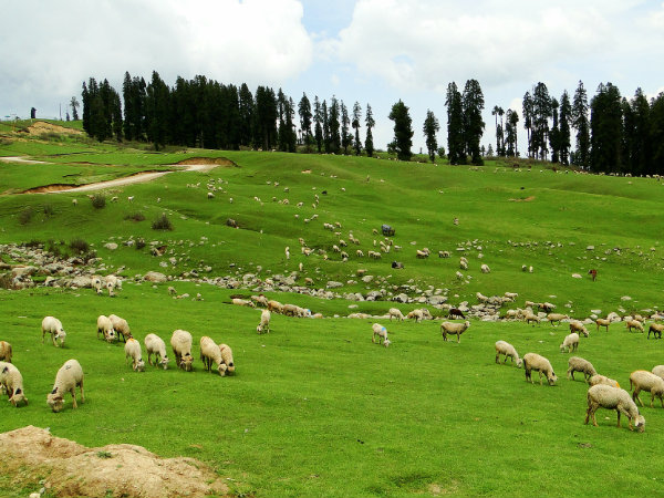 Stunning shots of J&K!