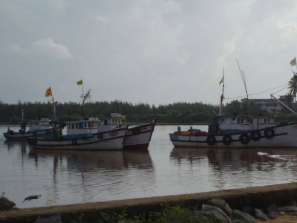 Fishing Boats