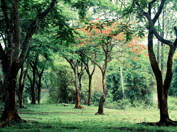 Eco-Tourism Destinations of India!