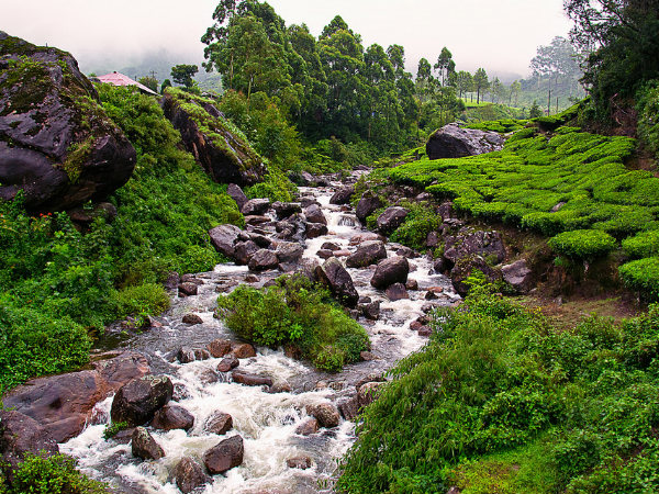 Eco-Tourism Destinations of India!