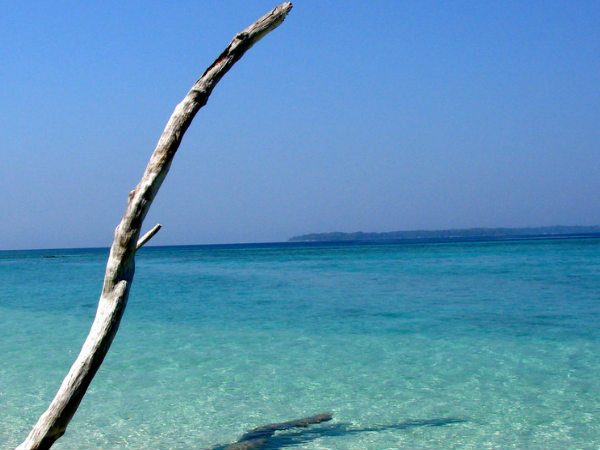 Eco-Tourism Destinations of India!