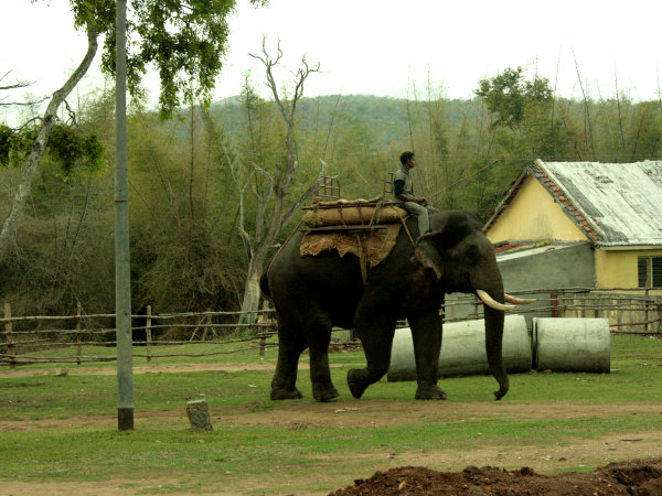 Eco-Tourism Destinations of India!