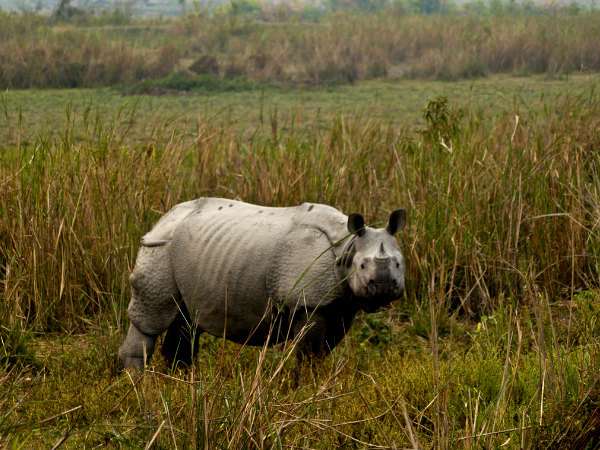 Eco-Tourism Destinations of India!