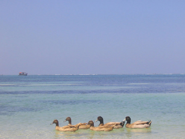 Eco-Tourism Destinations of India!