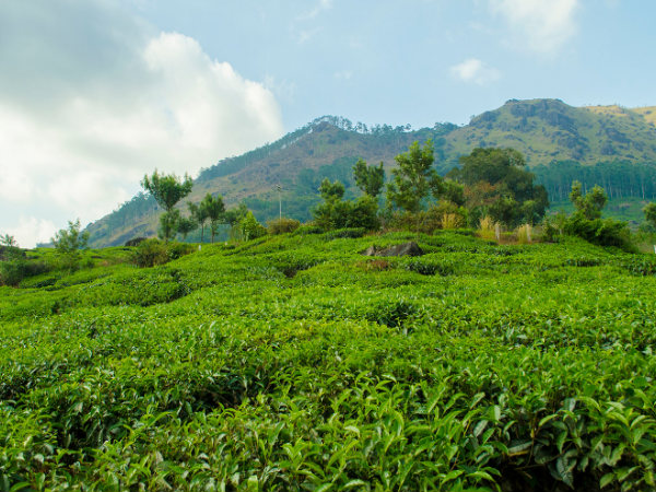 Eco-Tourism Destinations of India!