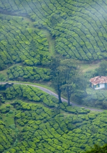 munnar