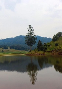 Kodaikanal