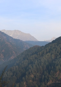 Kasauli
