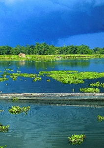Majuli