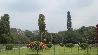 Cubbon Park