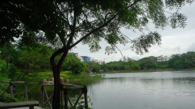 Lotus Lake