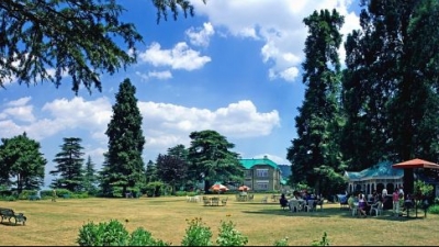 Chail Palace
